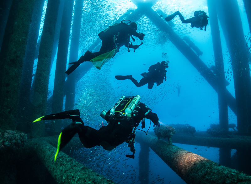 Diver Observation and Support