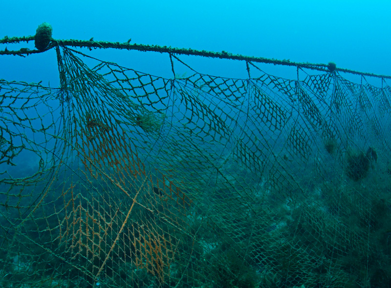 Net Inspection